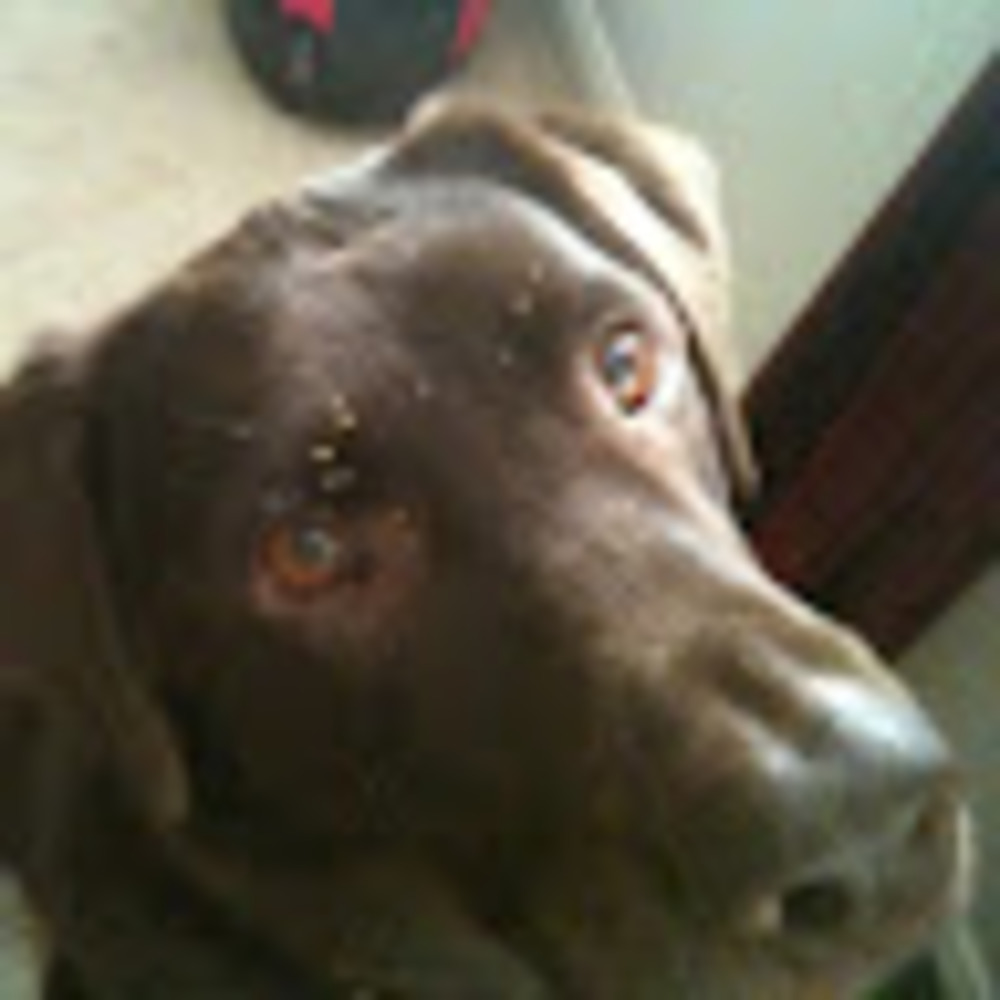 Meet your Posher, Trina